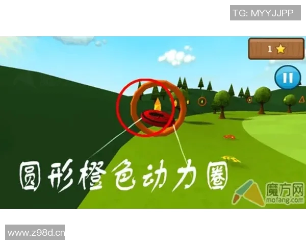 刘强深度分享飞盘技巧与心得体会助你轻松掌握这项运动的乐趣与魅力