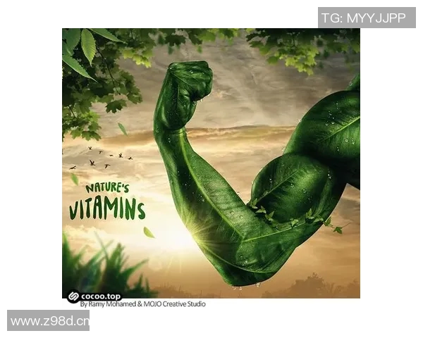 创新广告设计：打造品牌独特魅力与市场竞争力的视觉艺术之道